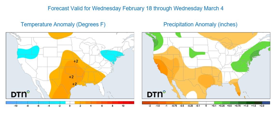 Forecast temperature and precipitation anomaly for the period from February 18 to March 4, 2026. Source: DTN.
